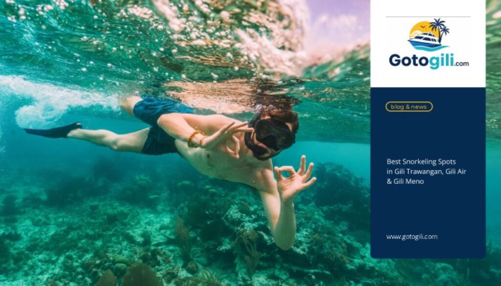 Best Snorkeling Spots in Gili Trawangan, Gili Air & Gili Meno