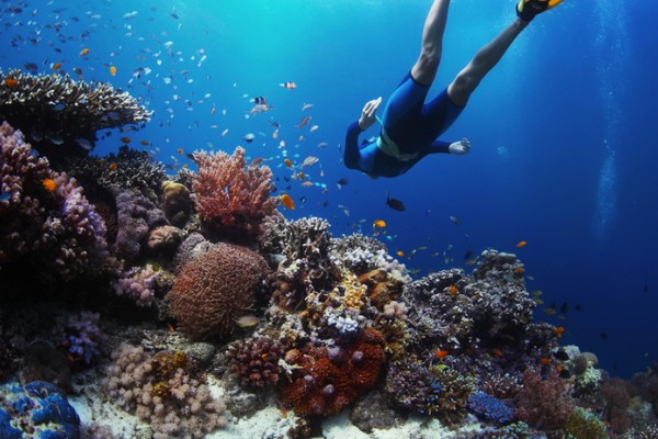 Private Snorkeling For 2 Hours With 3 Spots